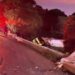 Caminhão sai da pista na BR-277, tomba e motorista morre em acidente, no PR