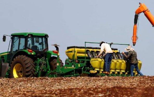 Para o secretário da Agricultura e do Abastecimento, Norberto Ortigara, 2023 foi um ano de recuperação - (Foto: Agência Estadual de Notícias)
