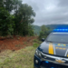 Paraná: Caminhão cai em ribanceira na BR-277 e uma pessoa morre, em Guarapuava