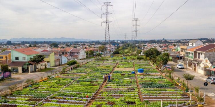 O movimento promove a substituição de espaços subutilizados por áreas verdes e produtivas – Foto: Copel/Divulgação