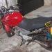 Motociclista fica ferido após colidir com cavalo na PR-092