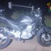 Norte Pioneiro: Motociclista fica ferido após colidir com cavalo na PR-431