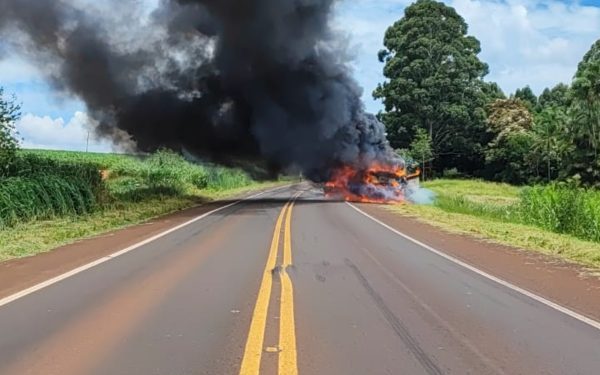 Motorista de caminhão não se feriu (Foto: Corpo de Bombeiros do Paraná)