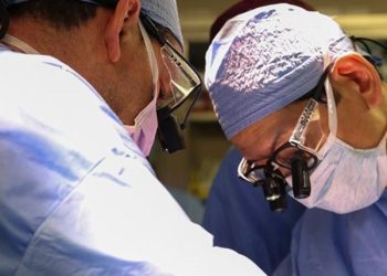 Médico brasileiro lidera primeiro transplante com rim de porco em humano
