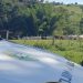 PM usa drone e prende receptador para recuperar gado furtado em Tomazina