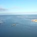 Nova ponte deve proporcionar retorno de fauna marinha à Baia de Guaratuba