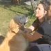Cachorro é salvo após dona levá-lo para ser “abatido” em açougue