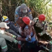 Homem cai em poço e precisa ser resgatado no norte do Paraná