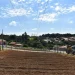 Com estreia no Norte Pioneiro, programa Cultivar Energia chega a 20 hortas comunitárias