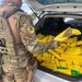 Paraná: PRF apreende carro em alta velocidade com meia tonelada de maconha