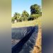 Paraná: Crianças encontradas em tanque de pesca ficaram 18 horas desaparecidas