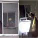 Égua que estava presa em prédio é resgatada no Rio Grande do Sul “Assista o vídeo”