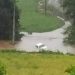 Temporal no Paraná: casal morre após ser arrastado pela correnteza
