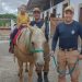 Paraná: Terapia com cavalos da PMPR colabora na qualidade de vida de pessoas com deficiência