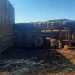 Norte Pioneiro: Tombamento de carreta na PR-431 deixa um ferido