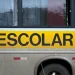 Professores da educação básica pública podem usar transporte escolar