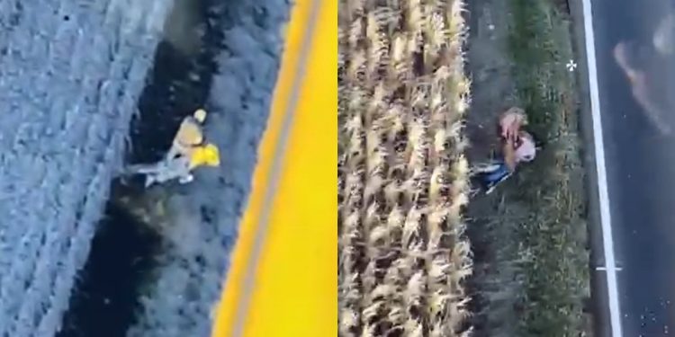 Suspeito é encontrado em milharal durante fuga (Foto: PMPR)