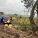 Colisão contra árvore deixa um morto e um ferido na PR-092 em Santo Antônio da Platina