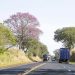 Confira 5 dicas para uma viagem tranquila nas férias escolares