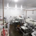 Com tilápia em alta, exportação paranaense de pescados cresceu 20% no 1º semestre