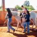 Núcleo de Equoterapia da UENP completa nove anos de atuação