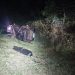 Jovem morre em capotamento provocado por motorista bêbado no PR