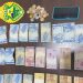 Polícia Militar soluciona caso de furto em Siqueira Campos-PR