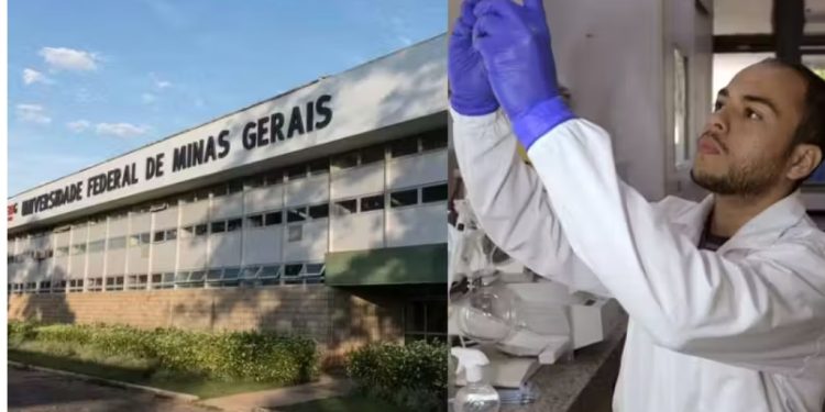 Cientistas da Universidade Federal de Minas Gerais (UFMG) desenvolveram tratamento inovador contra câncer e usa nanotecnologia. Foto: UFMG