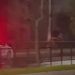 Homem usa cavalo para fugir da polícia e animal morre atropelado; veja o vídeo