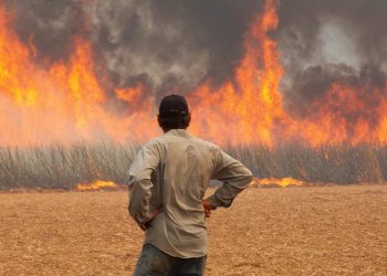 Quatro homens são presos suspeitos de causar incêndios criminosos