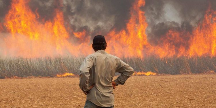 Em Ribeirão Preto, aulas foram canceladas na segunda devido à fumaça (Foto: REUTERS/Joel Silva)