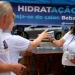 Sanepar distribui copos de água potável para incentivar consumo e proteger a saúde