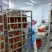 Com 70,4 toneladas, Paraná foi recordista na exportação de bacon em 2023