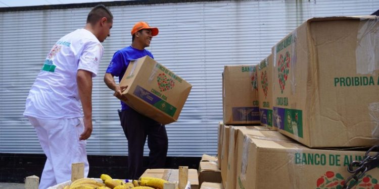 Banco de Alimentos da Ceasa Paraná conquista prêmio internacional
Foto: Leonardo F. Sguarezi