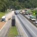 Paraná: Ônibus de passeio utiliza sistema de escape na BR-277 “Assista o vídeo”