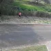 Paraná: Homem é preso por crime ambiental ao colocar fogo em vegetação