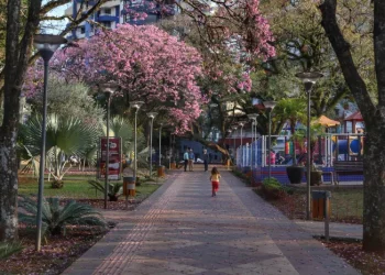 Primavera: Secretaria da Saúde orienta sobre alergias ocasionadas pela nova estação