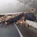 Duas pessoas morrem e quatro ficam feridas na BR-376; carga foi saqueada