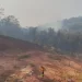 Incêndio no Morro do Bim é controlado após horas de combate intensivo