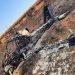 Avião cai ao tentar pousar, pega fogo e deixa duas pessoas mortas
