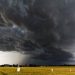 Temporal pode atingir o Paraná com rajadas de vento de 70 km/h; veja quando