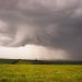 Previsão do tempo para Curitiba amanhã (14/09/2024), segundo o Climatempo