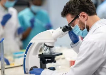 Antidepressivo tem resultados positivos contra câncer cerebral resistente; glioblastoma