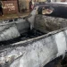 Cambará: Polícia Civil prende homem que ateou fogo em carro e atirou 16 vezes contra ex-mulher