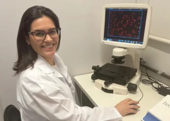 Paraná: Pesquisadores estudam uso de composto na própolis para tratamento de câncer de mama