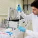 Paraná: Com ensaios especializados, Tecpar identifica níveis de agrotóxicos em alimentos