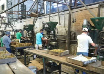 Com 152 mil empregos, Paraná é 3º estado que mais gerou trabalho de janeiro a setembro