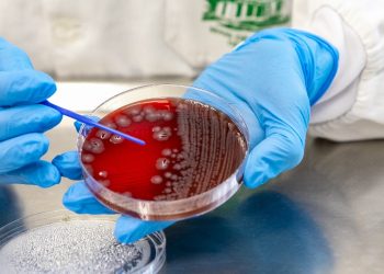 Mais de 380 mil casos de doenças gastrointestinais no Paraná neste ano