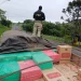 PRF apreende grande quantidade de cigarros contrabandeados em Santo Antonio da Platina
