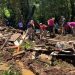 Paraná: Corpo de Bombeiros encontra menina desaparecida em General Carneiro